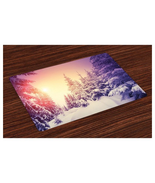 Icy Crystal Dreams Place Mats Set of 4