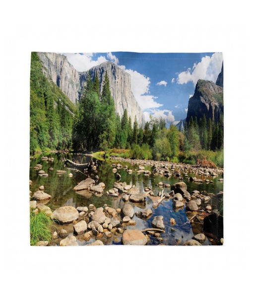 Yosemite Set of 4 Napkins  12