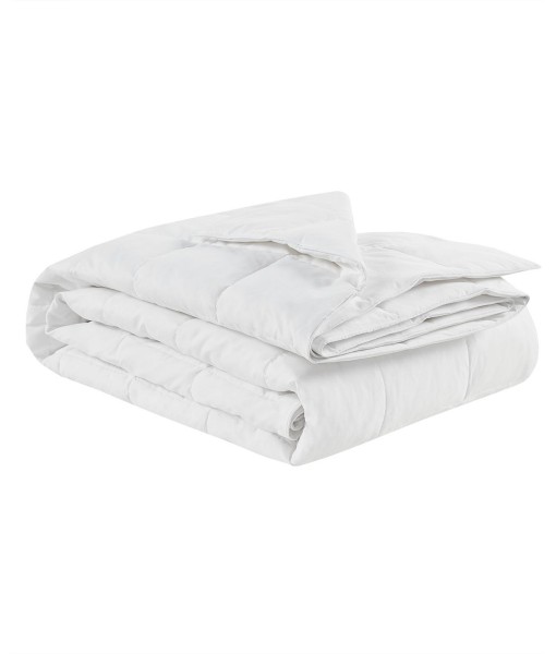 Four Seasons Goose Feather & Good Down Filling Blanket  Twin